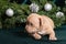 Little cute inquisitive american bully puppy lying next to christmas tree branches. Christmas and New Year for pets