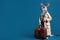 little cute kangaroo in a raincoat with a suitcase on a blue background, Generative AI