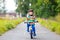 Little cute kid boy on bicycle on summer or autmn day. Healthy happy child having fun with cycling on bike.