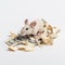 little cute mouse eats gnawed a dollar bill on a white background close-up,