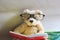 A little cute teddy bear wearing glasses and reading a book