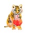 Little cute tiger cub with red holiday lantern, cherry blossom flowers. Watercolor animal of chinese new year 2022