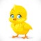 Little cute yellow cartoon chick isolated on a white
