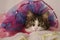 little cutie cat in a tutu background