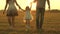 Little daughter holds mom and dad hands and jumps on a meadow in park in rays of yellow sun. Family concept. child plays