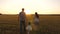 Little daughter plays and jumps into field holding hands of mom and dad. healthy Happy family with a child walks in park