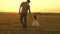 Little daughter walks with her father in a meadow holding hands. child holds father`s hand. family walks in evening out