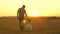 Little daughter walks with her father in a meadow holding hands. Child holds father\'s hand. Family walks in evening out