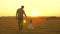 Little daughter walks with her father in a meadow holding hands. child holds father`s hand. family walks in evening out