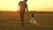 Little daughter walks with her father in a meadow holding hands. child holds father`s hand. family walks in evening out