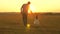 Little daughter walks with her father in a meadow holding hands. child holds father`s hand. family walks in evening out