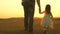 Little daughter walks with her father in a meadow holding hands. child holds father`s hand. family walks in evening out