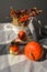 Little decorative ugly pumpkins. Fall cozy photo halloween concept