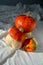 Little decorative ugly pumpkins in mushroom shape photo