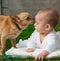 Little dog licking baby boy\'s face who is lying in grass