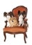 Little dogs on armchair