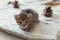 Little domestic kitty on wool knitting background