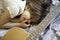 Little dreamer girl lying on the bed with her acoustic guitar. She`s smiling with hand on the face. She`s joking with her guitar