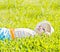 Little dreaming baby laying on the grass