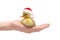 Little duckling Santa in human hand