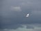 Little Egret garzette in flight 4K.