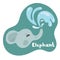 A little elephant releases a water fountain and smiles. Kid elephant in flat style. Text elephant in green speech bubble