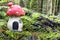 Little fairytale mushroom house