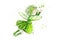 Little fantastic fairy on a white background, in a green dress creates the magic for Valentines Day