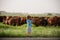 Little farmer holding tablet near cows farm. Summer kids at countryside. Children enjoy in farm. Farmer helper kid