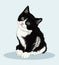 Little fluffy black and white kitten. Pretty trusting creature. Favorite pets. Vector illustration.