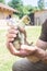 Little fluffy goose in man`s hands in a farm in summer.