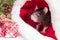 A little fluffy rat sits in a festive gift box. Christmas hat Santa Claus in an animal.A little gray rat is sitting in a Santa hat