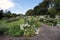 Little foothpath in a garden full of flowers