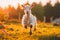 Little funny baby goat jumping in the summer field.AI generative