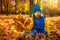 Little funny beautiful girl sitting on yellow maple fallen leaves in the forest. Child on a walk in the autumn park. Preschool