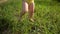 Little funny cute child toddler legs in yellow bodysuit walking running in field with green grass outside at summer