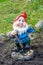 Little funny garden gnome in the garden