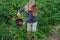 Little gardener girl at summer watering vegetables work