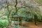 Little gazebo at National Rhododendron Gardens, Australia