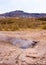 Little geysir, Haukadalur valley, southwestern Iceland