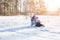 Little girl 3-4 years old in winter clothes overalls, hat and mittens falls on the snow and laughs against pines and fir