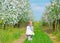 Little girl in an apple-tree garden costs on footpath.