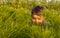 Little girl as indian hiding behind grass