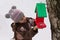 Little girl attaches bird feeder to a tree