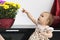 Little girl baby toddler touches shows a finger on a bouquet of yellow flowers in a vase of chrysanthemum. Little kid looking