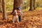 Little girl with beagle outdoors in the autumn park.