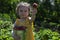 Little girl bites a strawberry. In his other hand holds a bucket of strawberries.