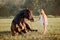 Little girl with black friesian stallion