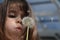 Little girl blow Dandelion plant