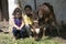 Little girl and boy feeding calf with grass.